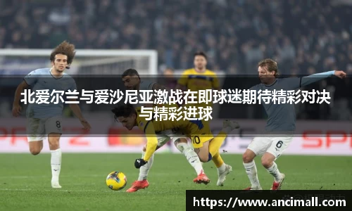 三亿体育有限公司